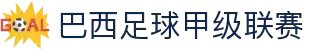 巴西足球甲级联赛 - 官方中文网站